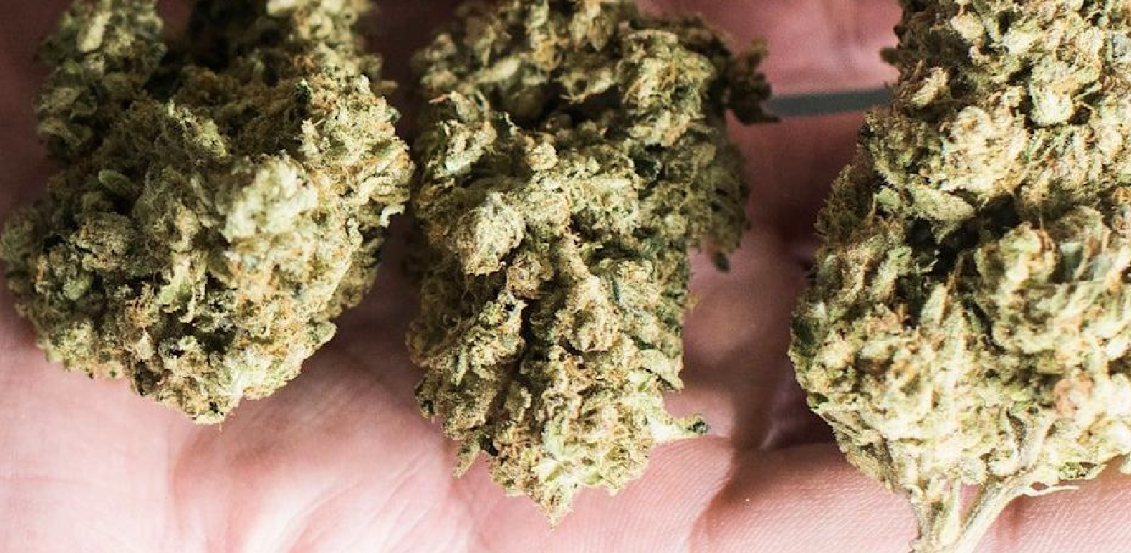 Weed legalisation linked to drop in alcohol, tobacco consumption, study says