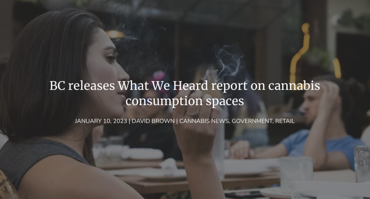 Potential for Cannabis Consumption Spaces in BC省: Survey Results